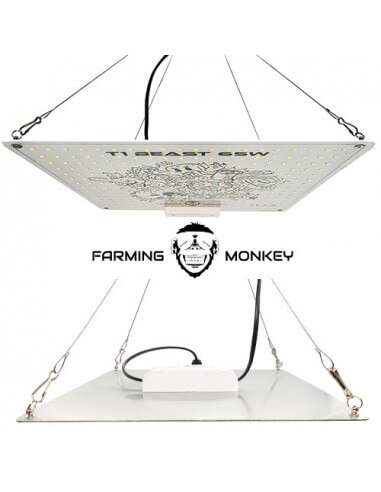 LED T1 Beast 65W Farming Monkey