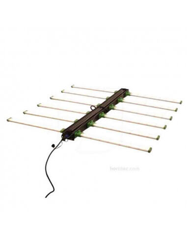 LED Dragonfly 640W Solux