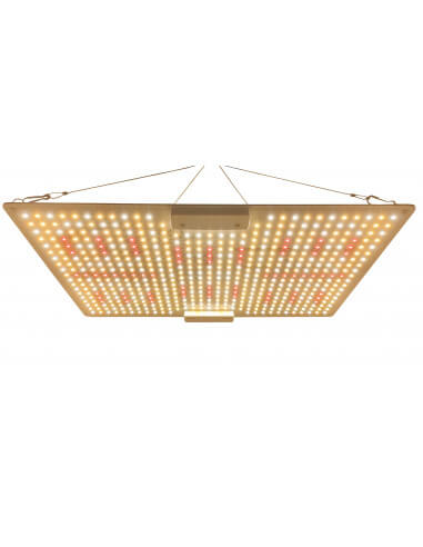 LED Super Board Farming Monkey