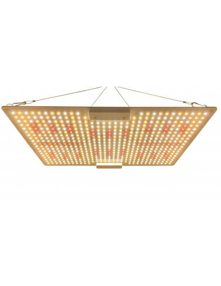 LED Super Board Farming Monkey