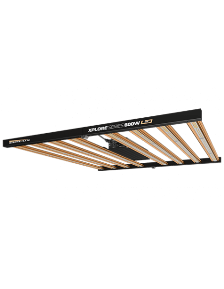 LED Dimlux Xplore Series 800W HE 285