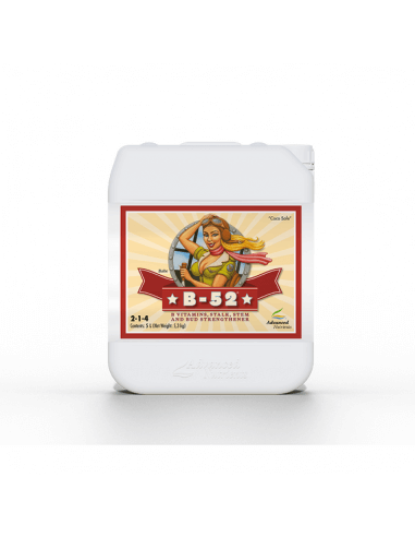 B-52 Fertilizer Booster -1L