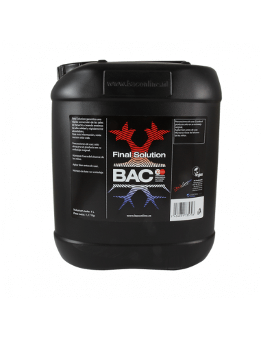 Final Solution BAC