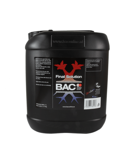 Final Solution BAC