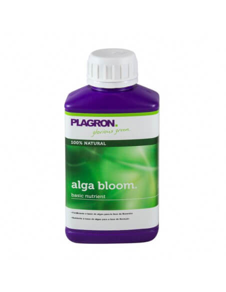 Alga Bloom