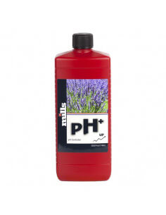 PH  PLUS 1L