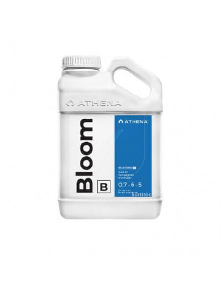 BLOOM A+B Athena