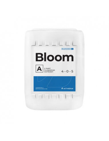 BLOOM A+B Athena
