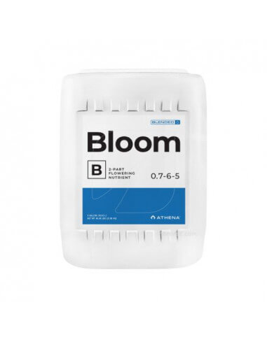 BLOOM A+B Athena