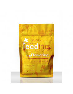 FEEDING LONG FLOWERING