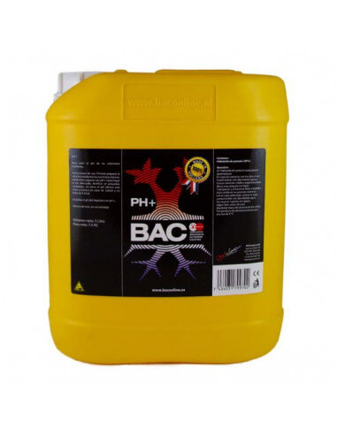 PH+ BAC