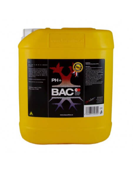 PH+ BAC