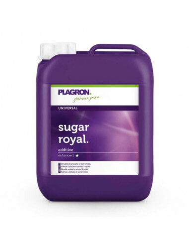 Sugar Royal Plagron