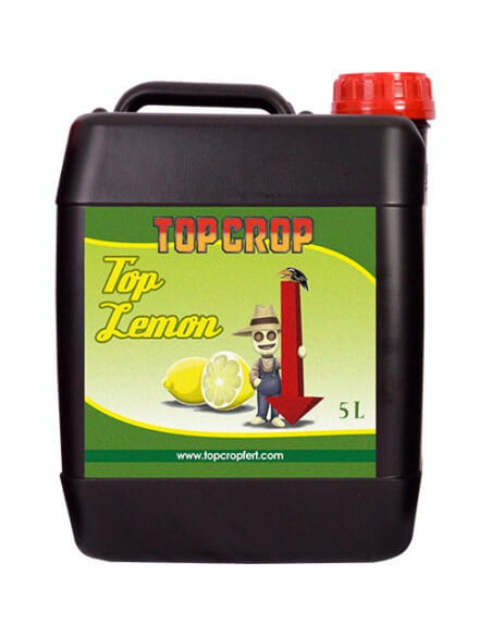 Top Lemon Top Crop