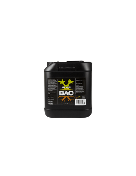 Yuccah BAC