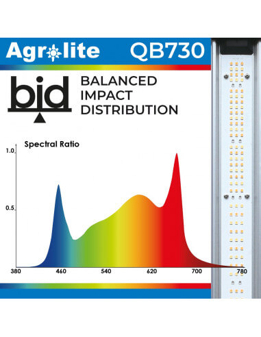 LED AGROLITE QB LED AGROLITE QB