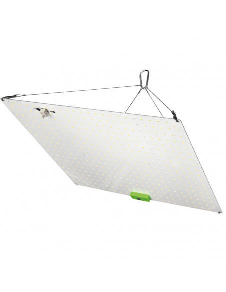 LITHA S LED QBOARD 150 W DUAL HORTILIGTH