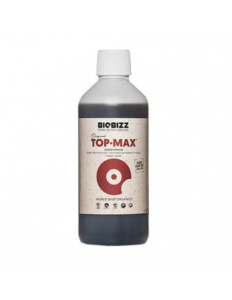 Top Max