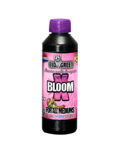 X-Bloom