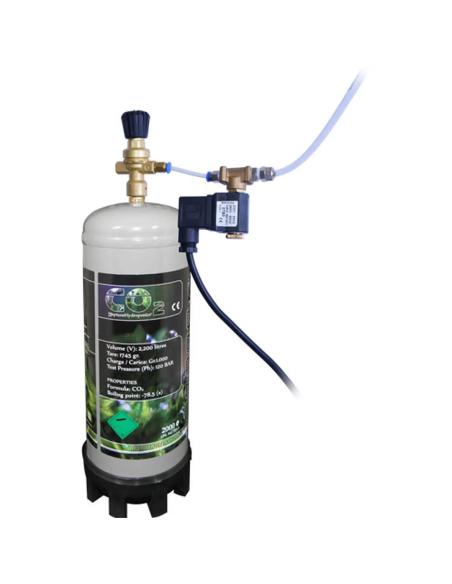 Kit CO2 con Bombona Desechable 1Kg