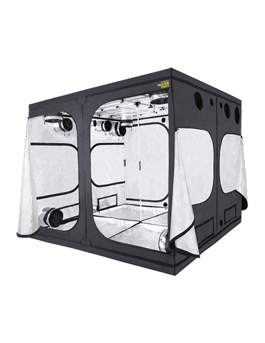 PROBOX MASTER VERSION 240