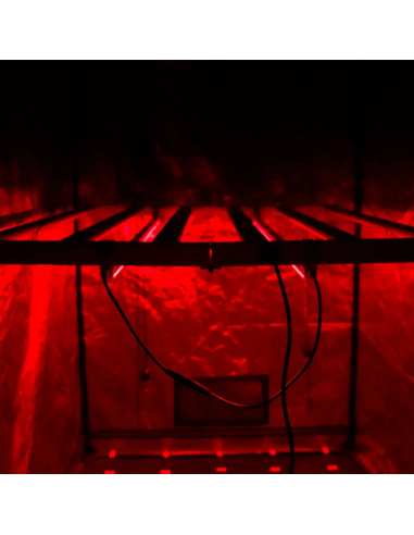 Barra LED NIR Twins 2x22W Agrolite