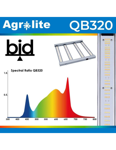 LED QB 320W bid Agrolite