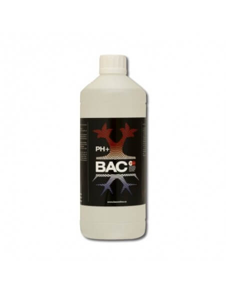 pH+ (BAC)