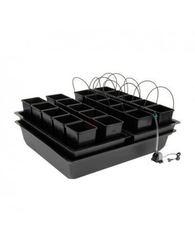 Sistema de cultivo Wilma