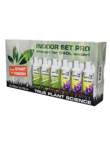 Indoor Set Pro