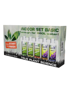 Indoor Set Basic