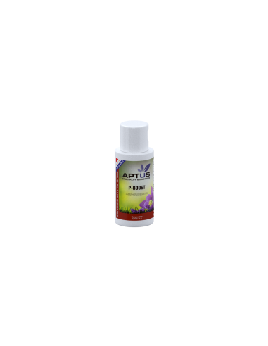 P-Boost