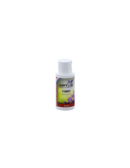 P-Boost