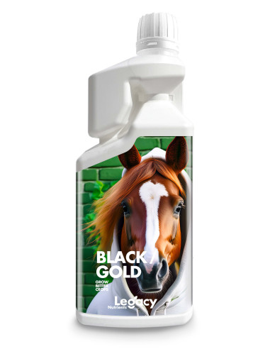 Black Gold Legacy