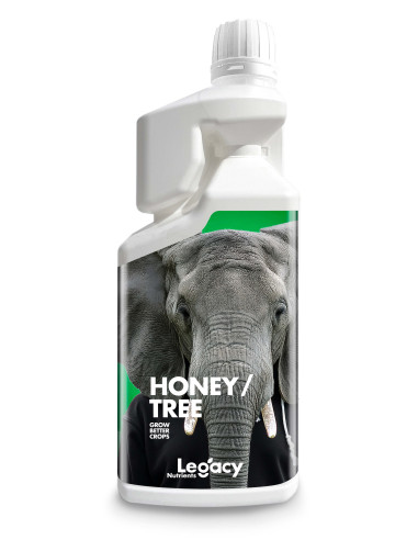 Honey Tree Legacy