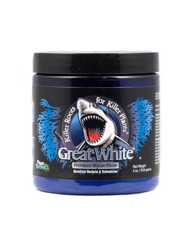 Great White Premium
