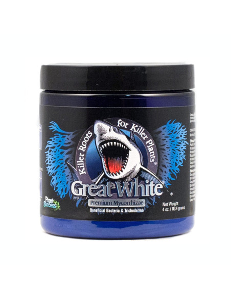 Great White Premium