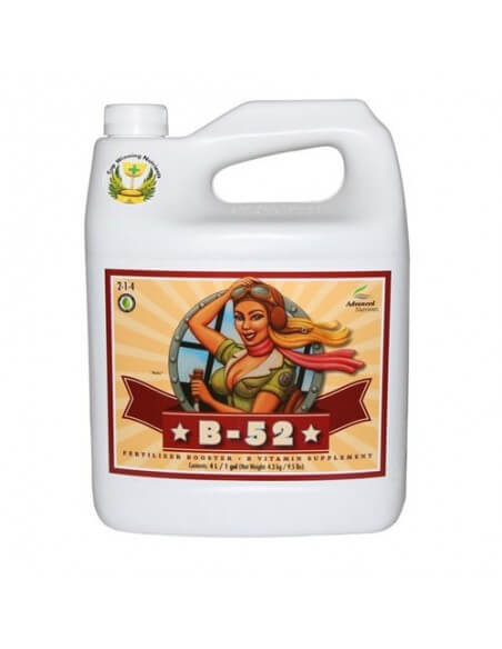 B-52 Fertilizer Booster -1L