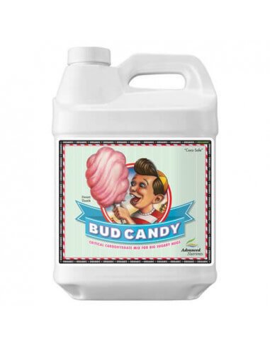 Bud Candy