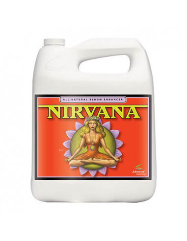 Nirvana