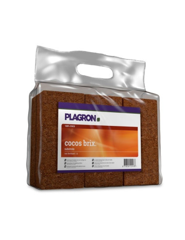 Cocos Brix Plagron · 6 uds.