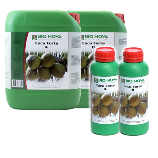 Coco Forte A+B Bionova Coco Forte A+B Bionova