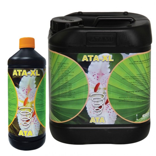 Ata-XL Ata-XL