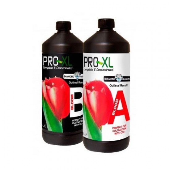 Pro-XL Bloom A+B Pro-XL Bloom A+B