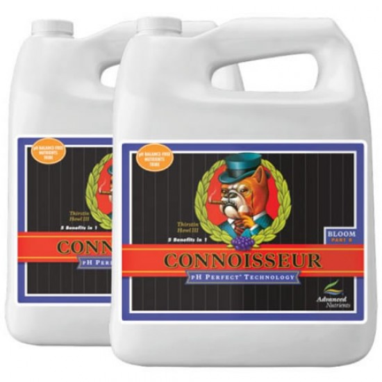 Connoisseur Bloom A&B Connoisseur Bloom A&B