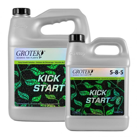Kick Start Kick Start