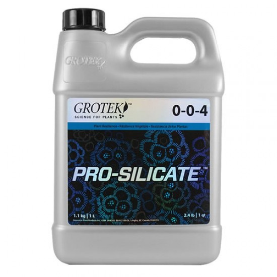 Pro-Silicate Pro-Silicate