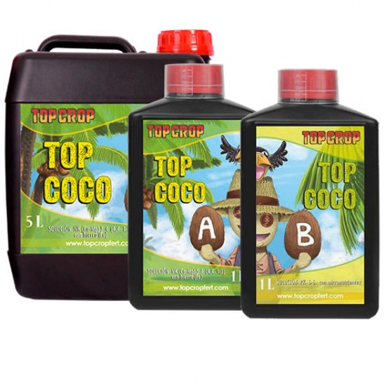 Top Coco A+B Top Coco A+B