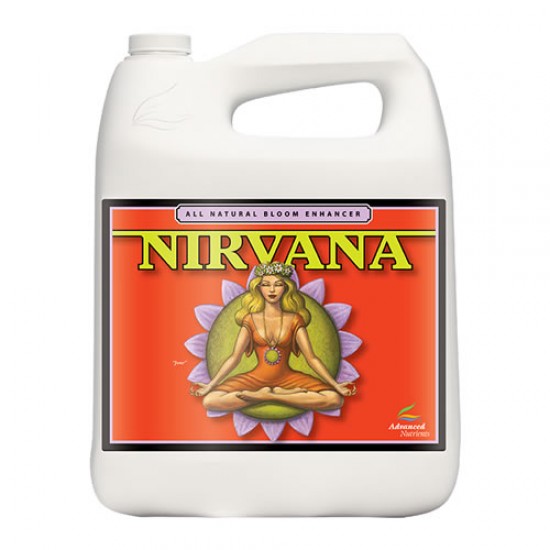 Nirvana Nirvana
