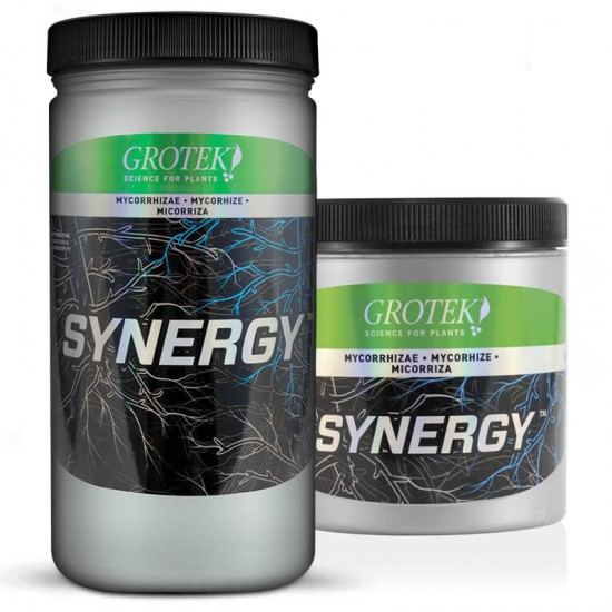 Synergy Synergy